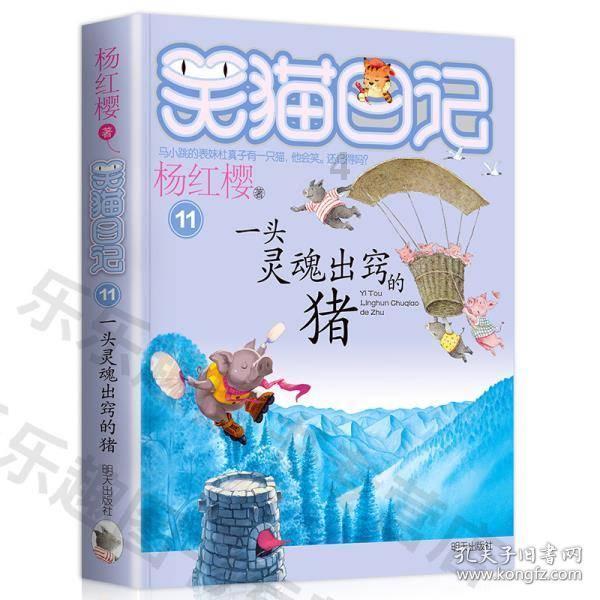 这5种猫性格超好，怎么撸都不会生气，撸猫一族的必备